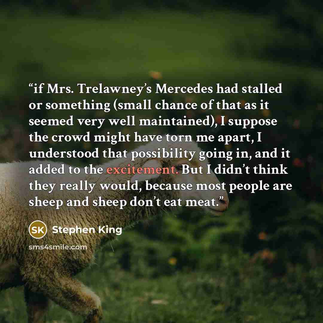 “if Mrs. Trelawney’s Mercedes had stalled or something (small chance of that as it seemed very well maintained), I suppose the crowd might have torn me apart, I understood that possibility going in, and it added to the excitement. But I didn’t think they really would, because most people are sheep…” quote by Stephen King