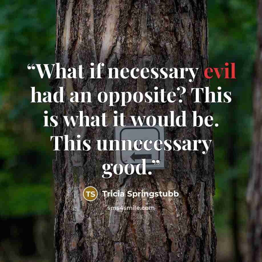 “What if necessary evil had an opposite? This is what it would be. This unnecessary good.” quote by Tricia Springstubb