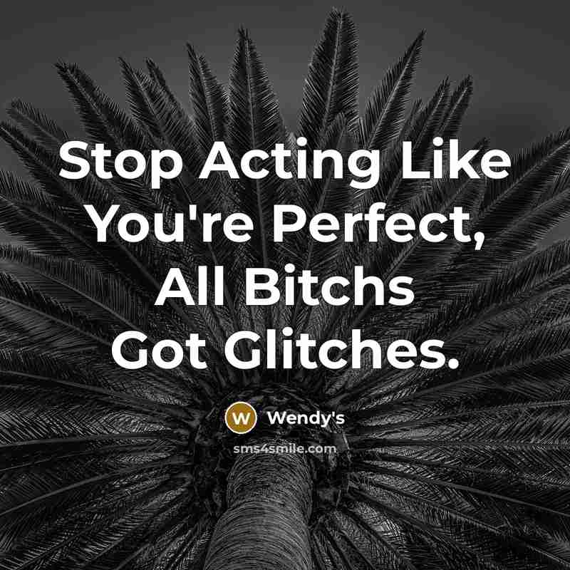 “Stop Acting Like You're Perfect, All Bitchs Got Glitches.…” quote by Wendy's