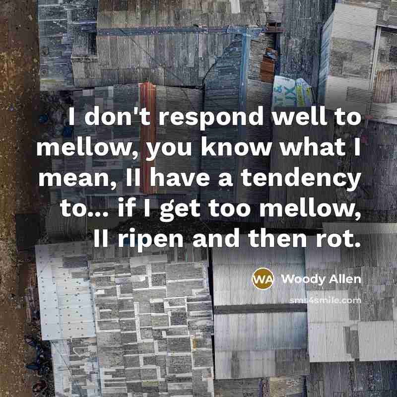 “I don't respond well to mellow, you know what I…” quote by Woody Allen
