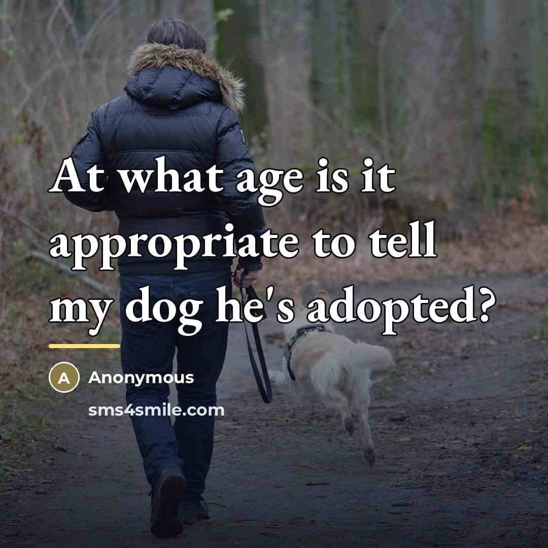 “At what age is it appropriate to tell my dog…” quote by Anonymous