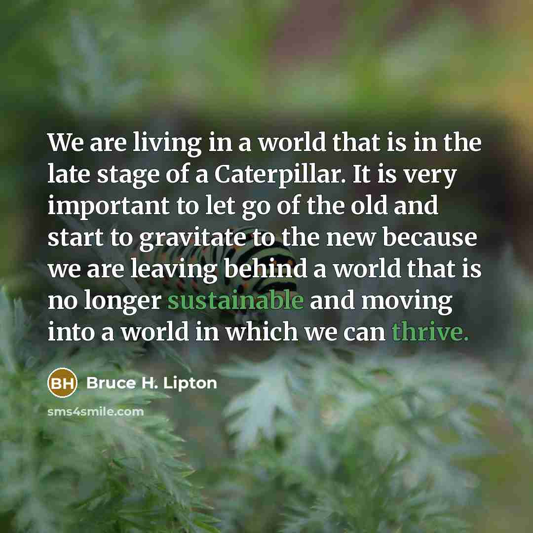 “We are living in a world that is in the…” quote by Bruce H. Lipton