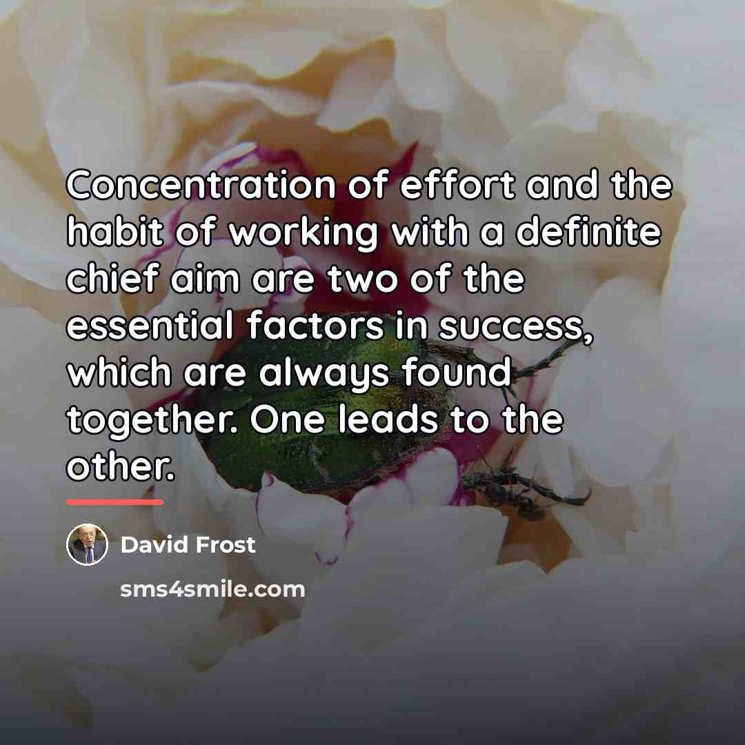 “Concentration of effort and the habit of working with a…” quote by David Frost
