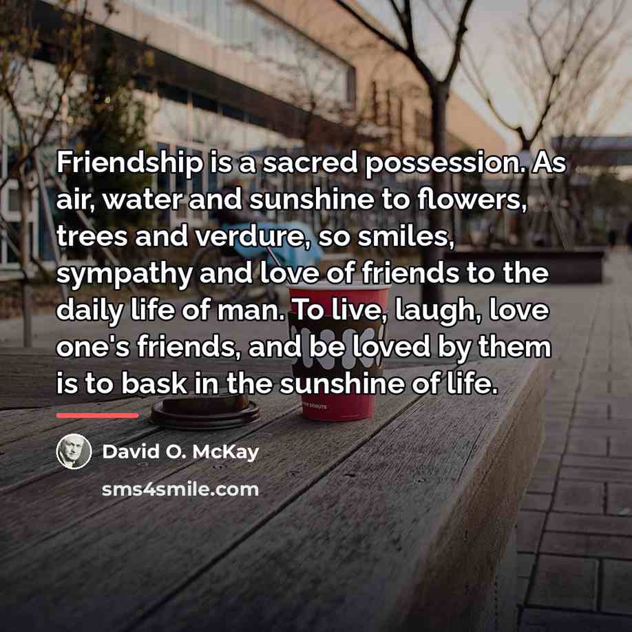 “Friendship is a sacred possession. As air, water and sunshine…” quote by David O. McKay