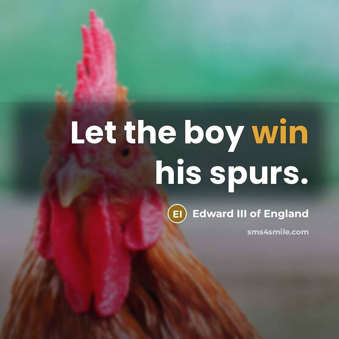 “Let the boy win his spurs.…” quote by Edward III of England