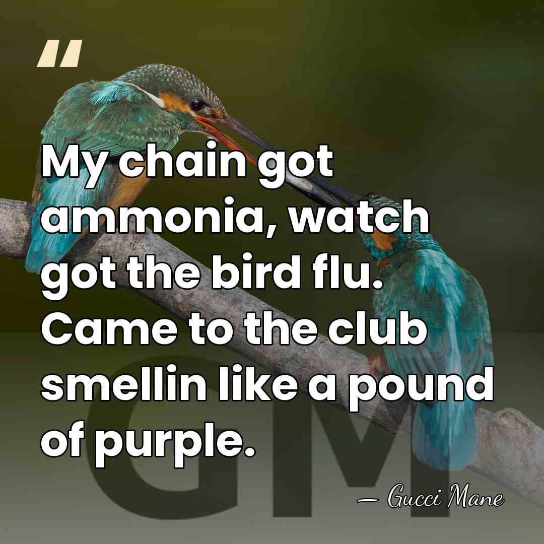 My chain got ammonia, watch got the bird flu. Came to the&hellip; - Gucci Mane