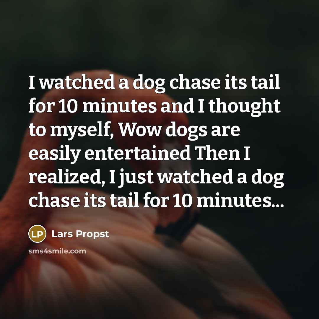 “I watched a dog chase its tail for 10 minutes and I thought to myself, Wow dogs are easily entertained Then I realized, I just watched a dog chase its tail for 10 minutes...” quote by Lars Propst