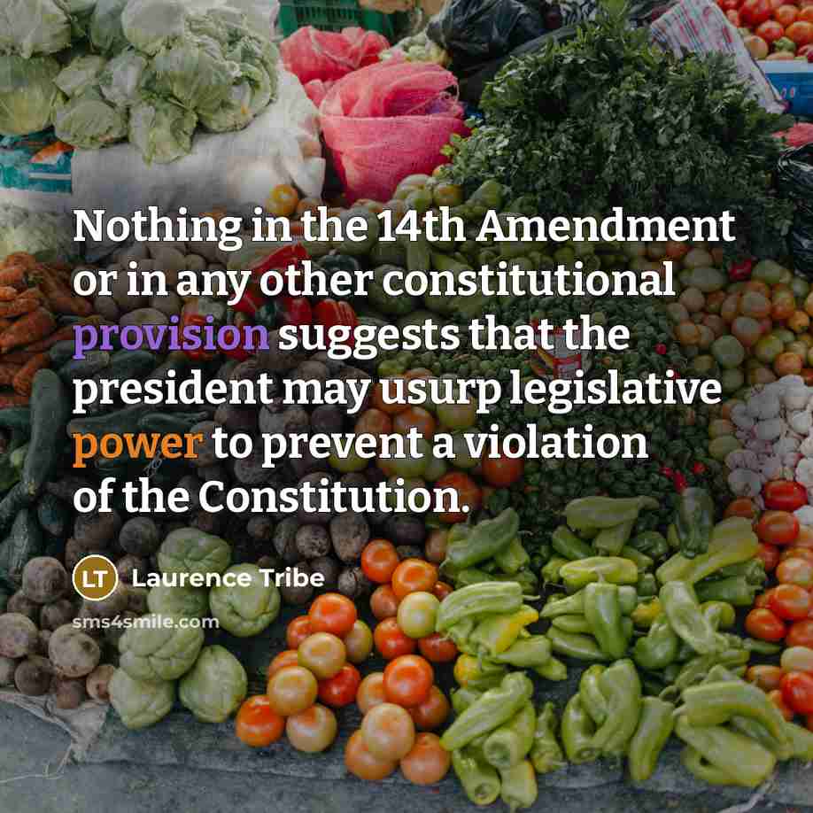 “Nothing in the 14th Amendment or in any other constitutional provision suggests that the president may usurp legislative power to prevent a violation of the Constitution.” quote by Laurence Tribe