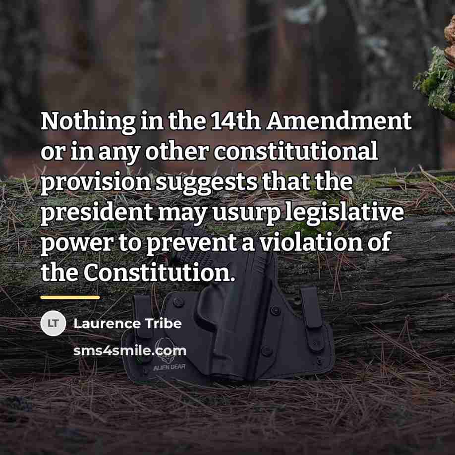 “Nothing in the 14th Amendment or in any other constitutional…” quote by Laurence Tribe