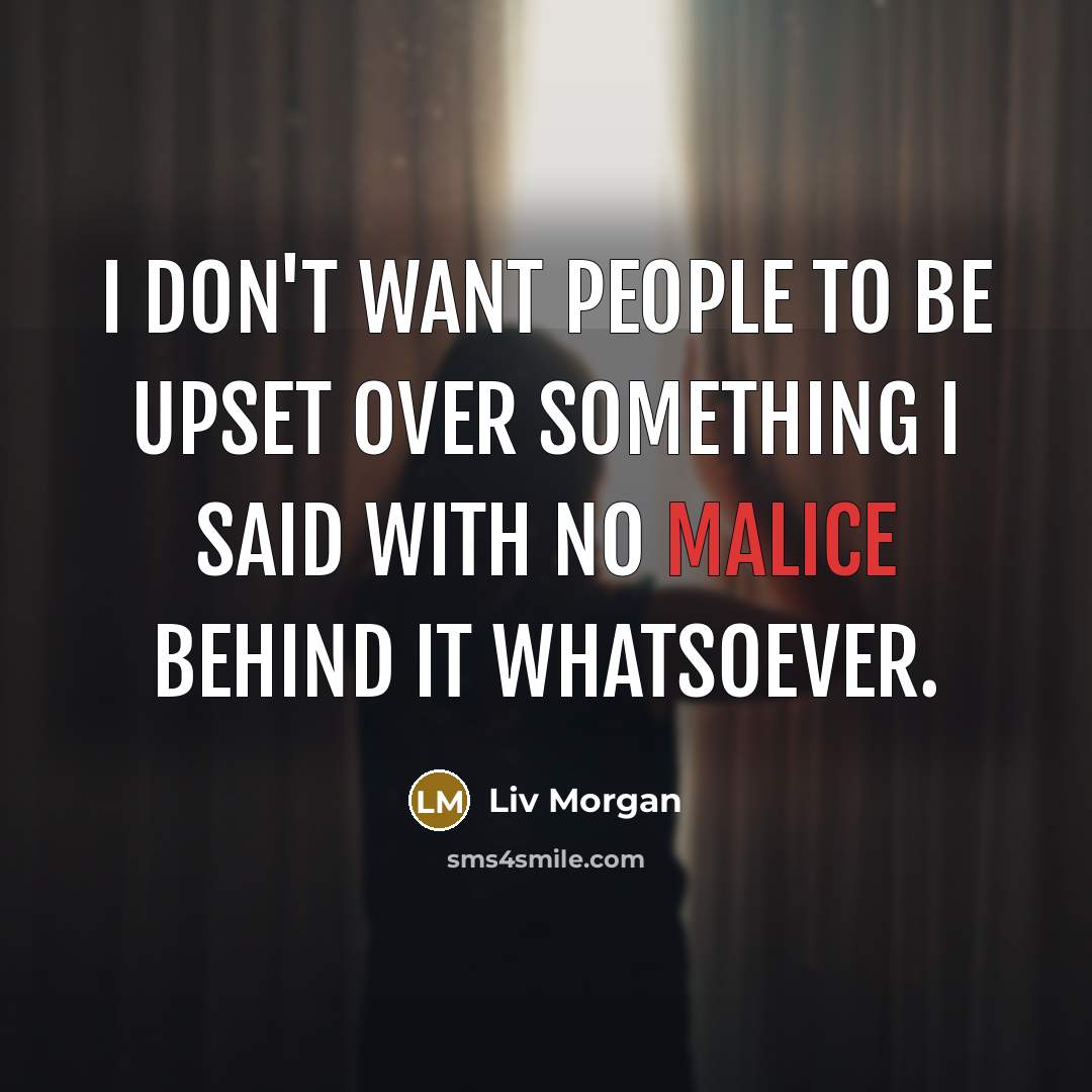 “I don't want people to be upset over something I…” quote by Liv Morgan