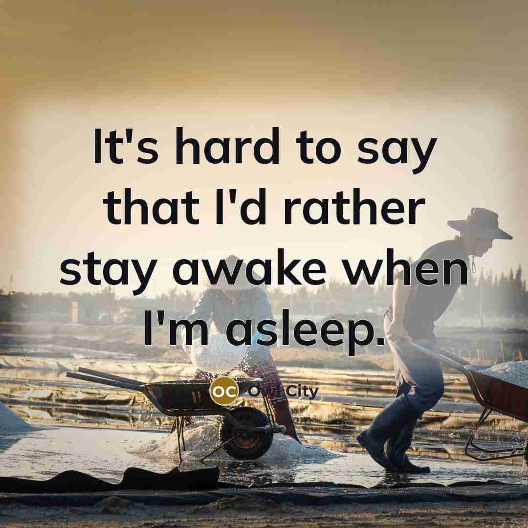 “It's hard to say that I'd rather stay awake when…” quote by Owl City