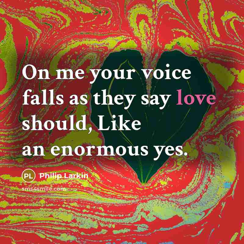 “On me your voice falls as they say love should,…” quote by Philip Larkin