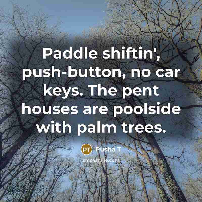 “Paddle shiftin', push-button, no car keys. The pent houses are poolside with palm trees.” quote by Pusha T