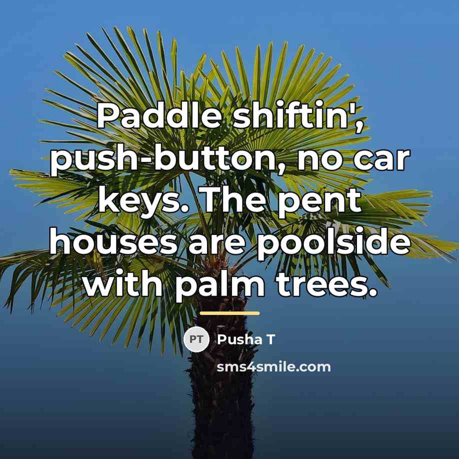 “Paddle shiftin', push-button, no car keys. The pent houses are…” quote by Pusha T