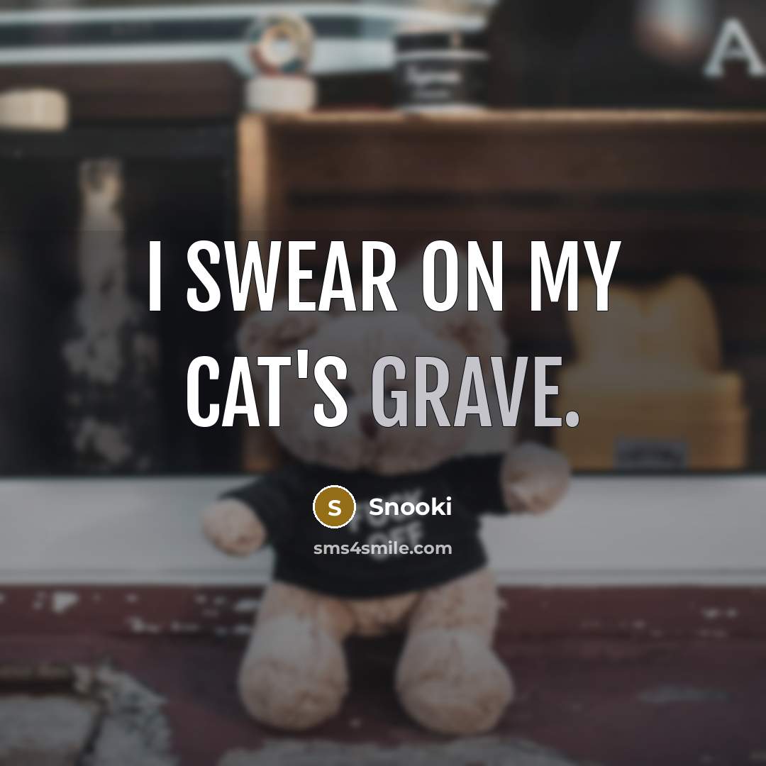 “I swear on my cat's grave.…” quote by Snooki