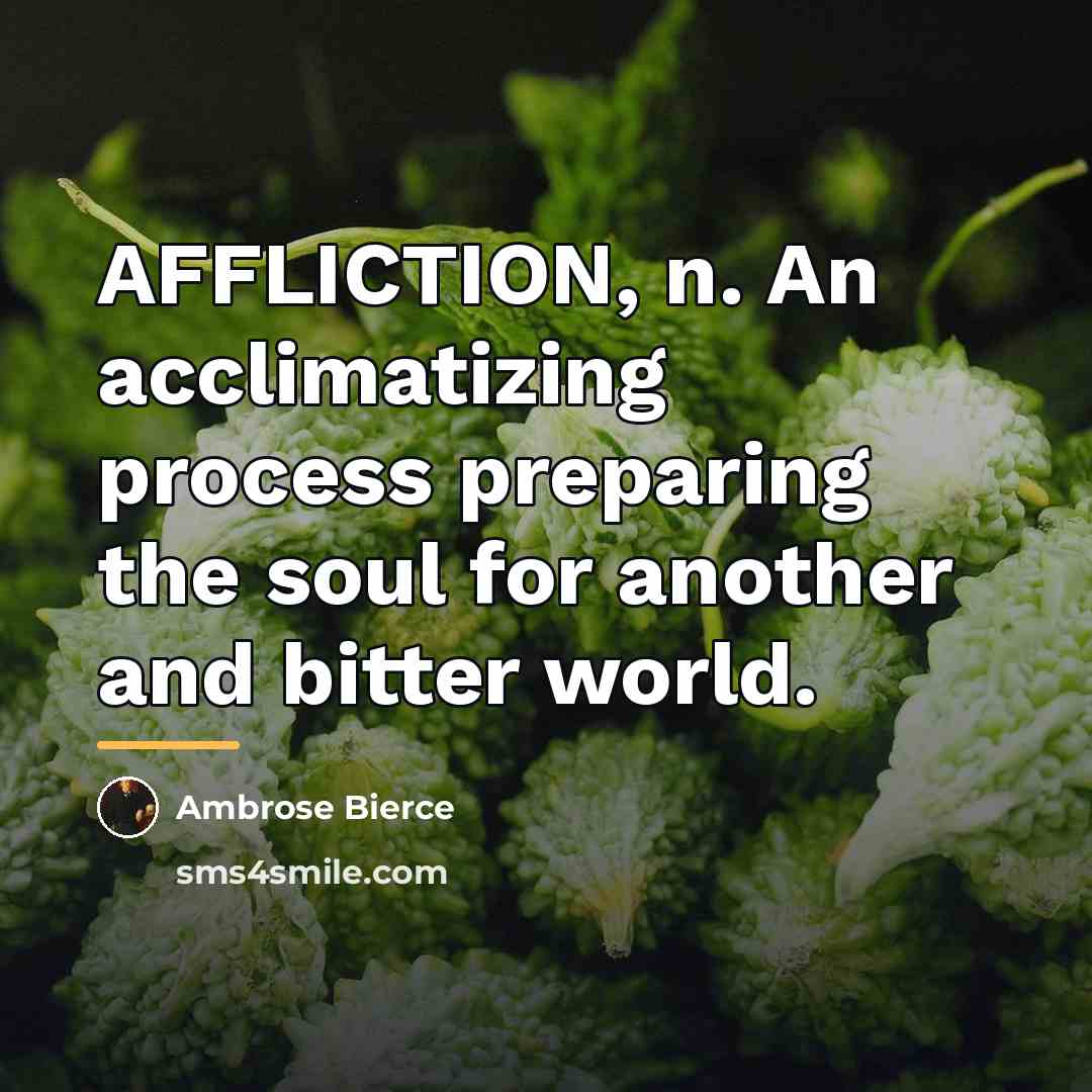“AFFLICTION, n. An acclimatizing process preparing the soul for another…” quote by Ambrose Bierce