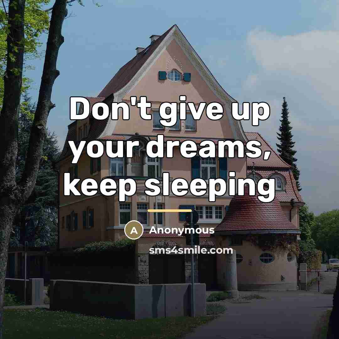 “Don't give up your dreams, keep sleeping…” quote by Anonymous