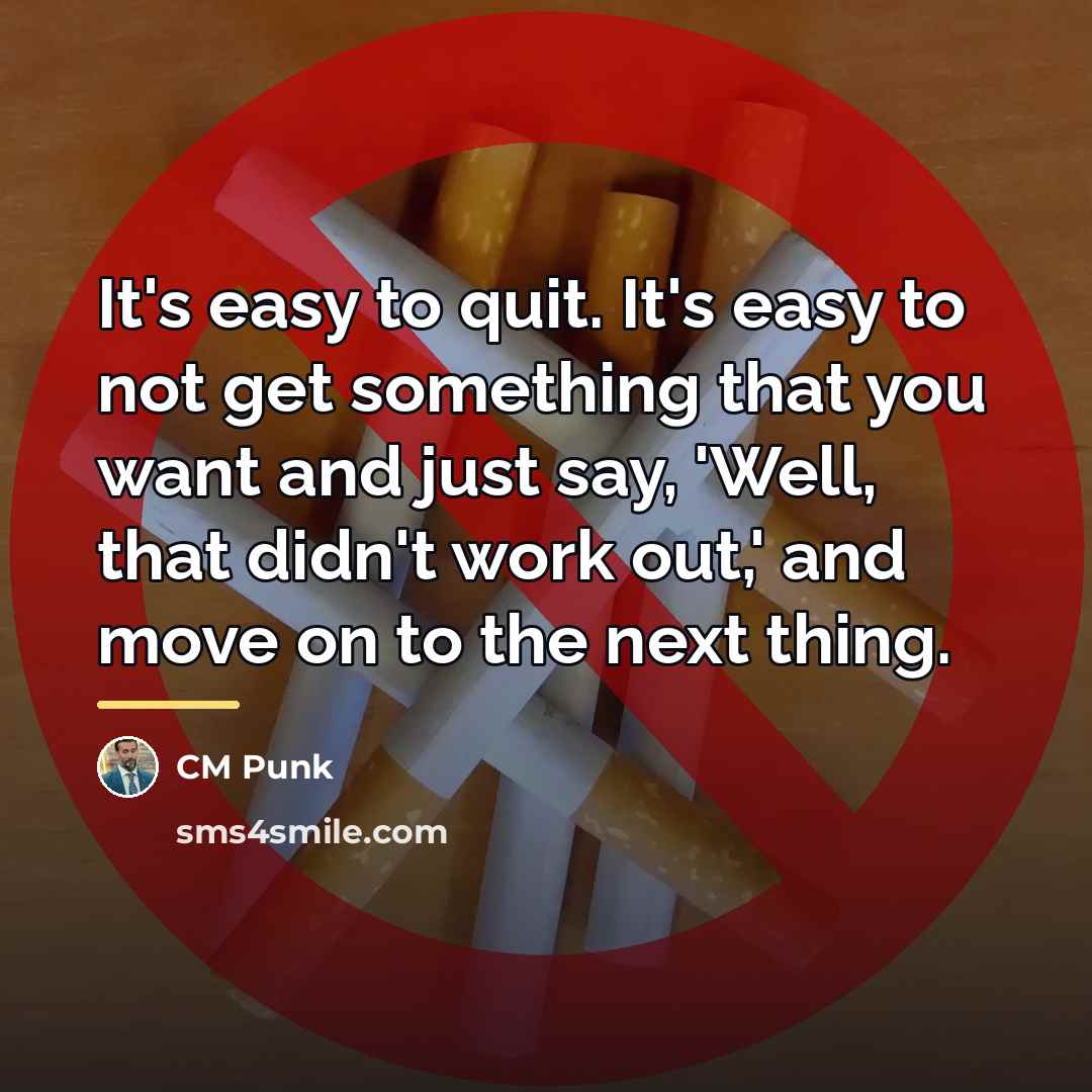 “It's easy to quit. It's easy to not get something…” quote by CM Punk