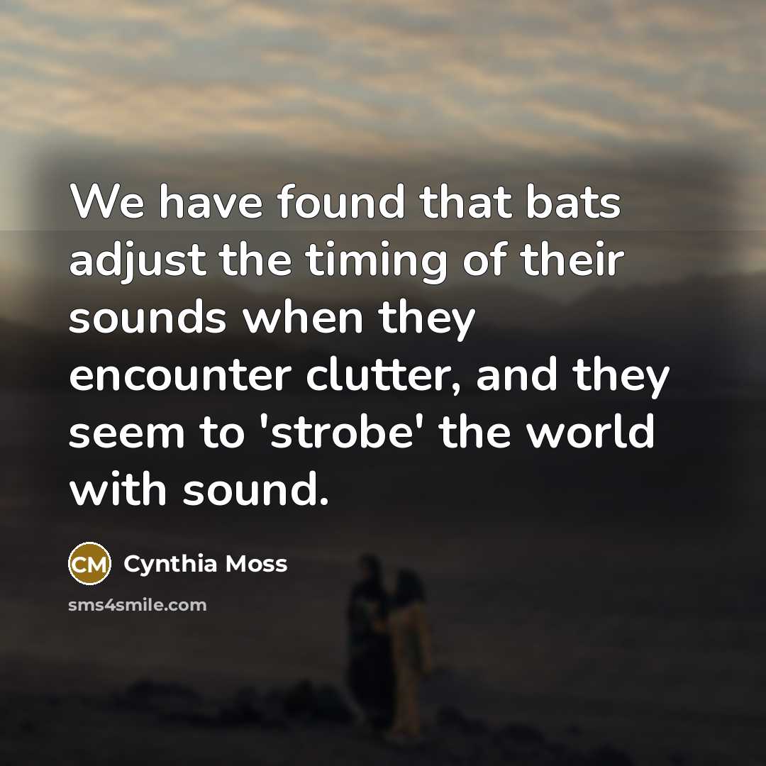 “We have found that bats adjust the timing of their sounds when they encounter clutter, and they seem to 'strobe' the world with sound.” quote by Cynthia Moss