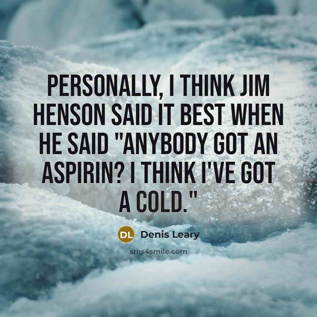 “Personally, I think Jim Henson said it best when he…” quote by Denis Leary