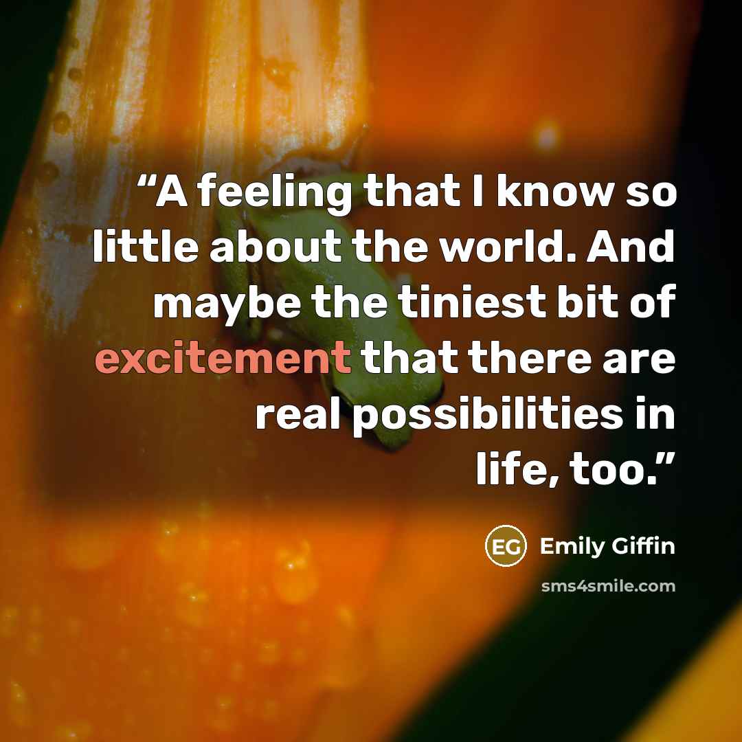 “A feeling that I know so little about the world. And maybe the tiniest bit of excitement that there are real possibilities in life, too.” quote by Emily Giffin