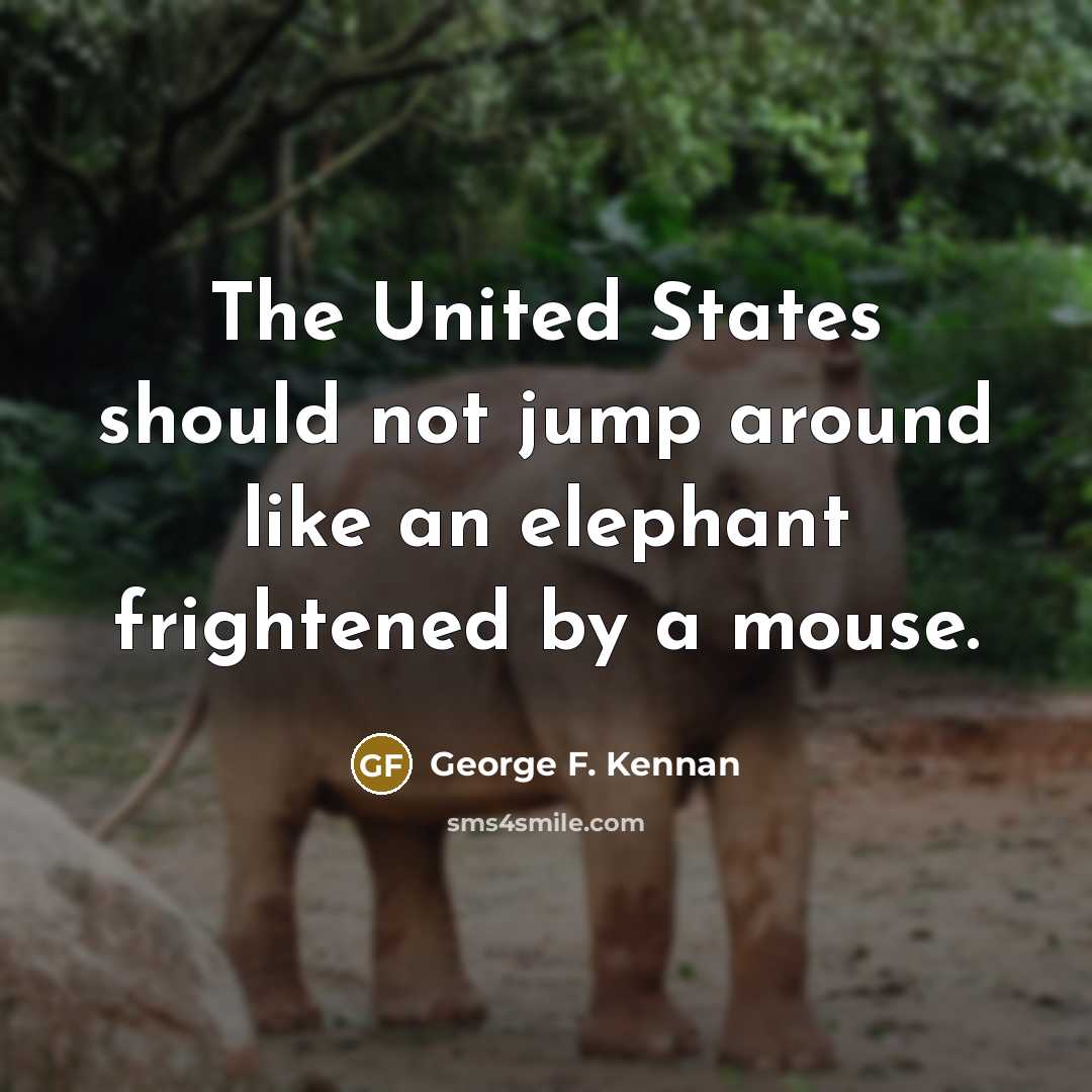 “The United States should not jump around like an elephant frightened by a mouse.” quote by George F. Kennan