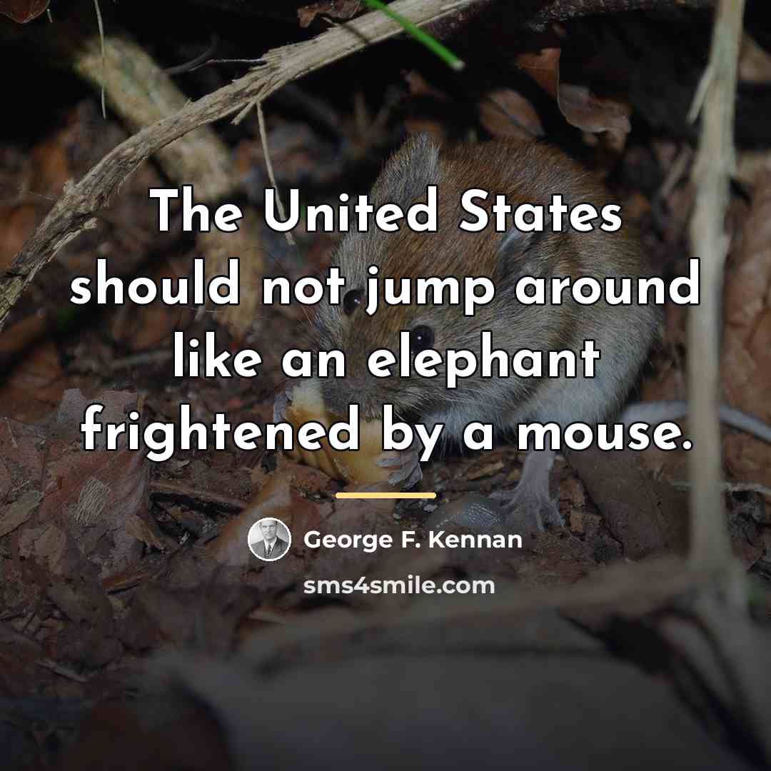 “The United States should not jump around like an elephant…” quote by George F. Kennan