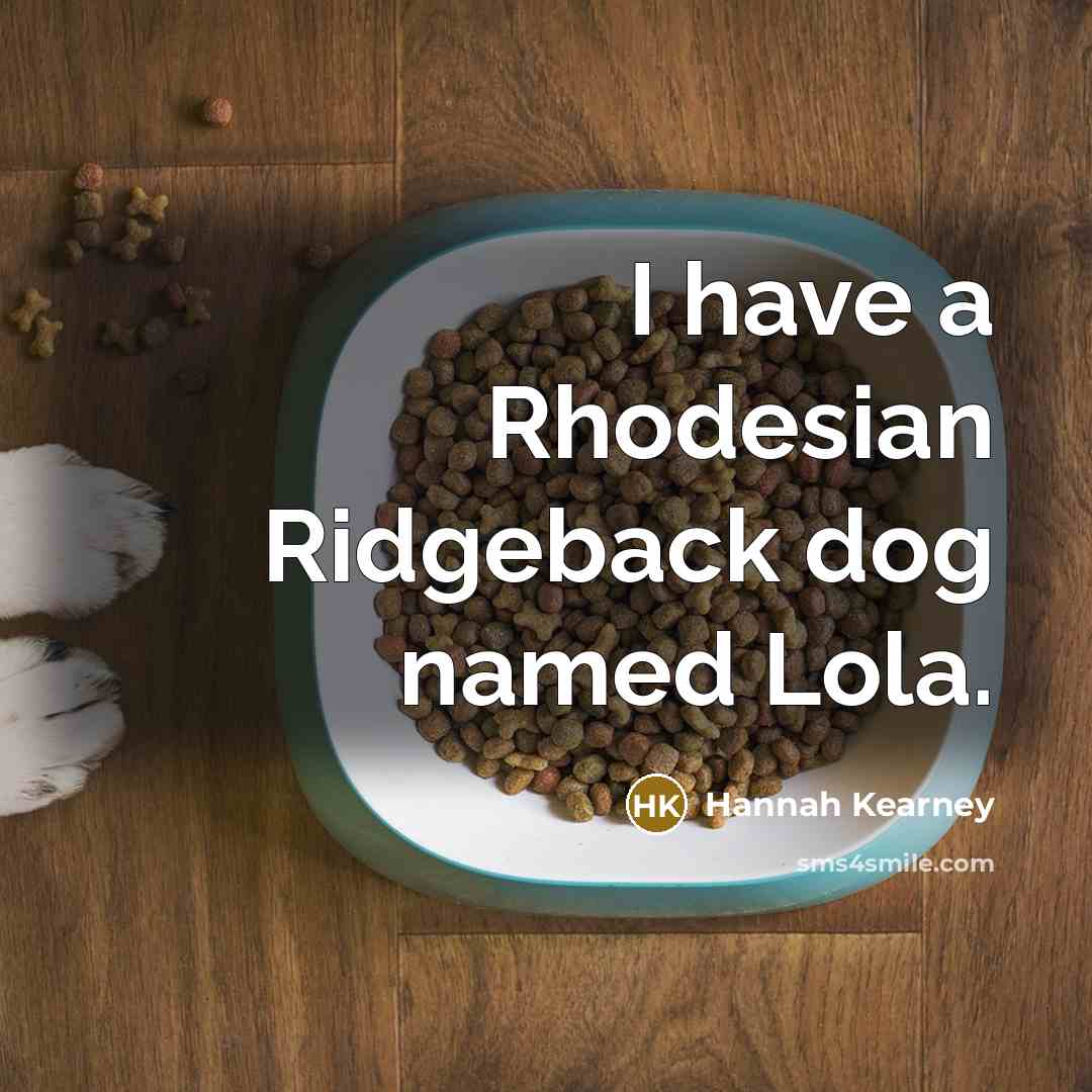“I have a Rhodesian Ridgeback dog named Lola.…” quote by Hannah Kearney