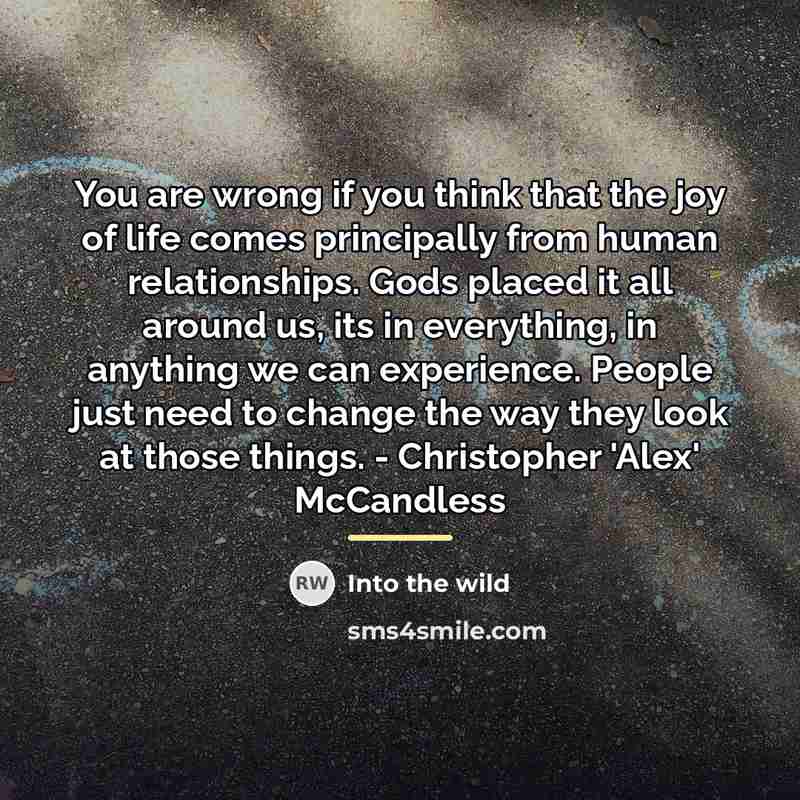 “You are wrong if you think that the joy of…” quote by Into The Wild