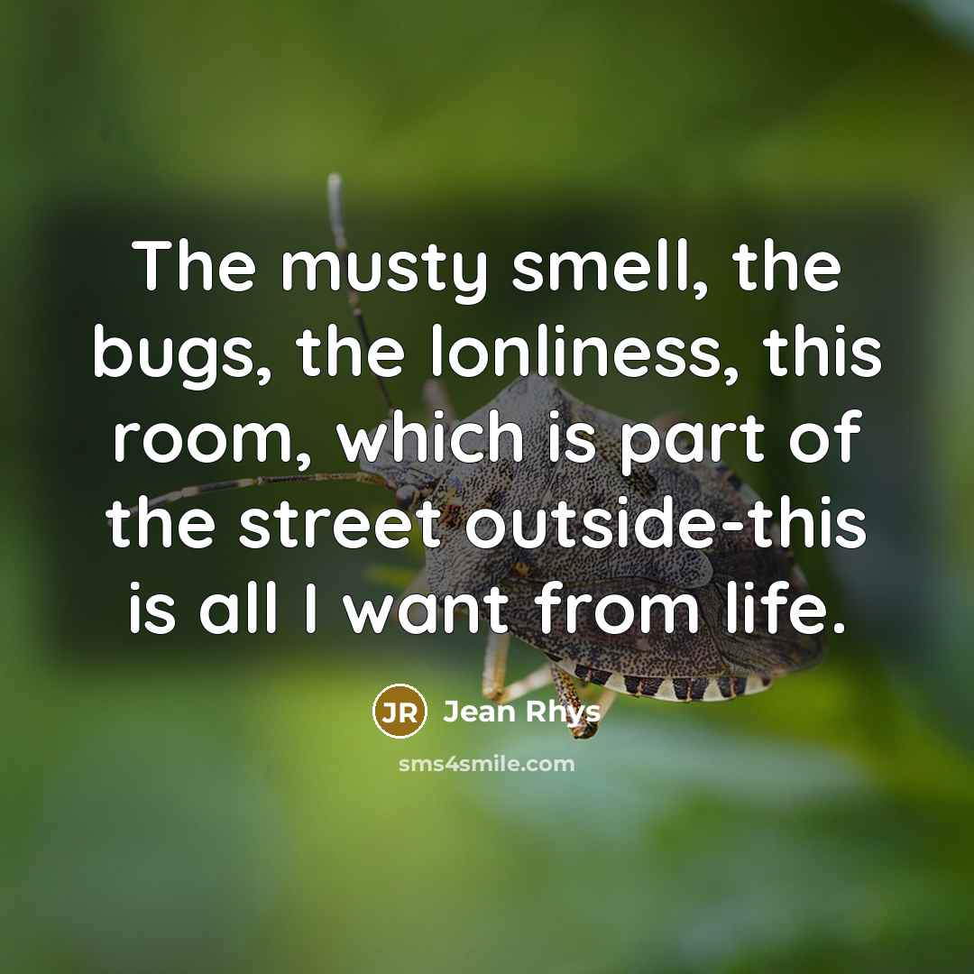 “The musty smell, the bugs, the lonliness, this room, which…” quote by Jean Rhys
