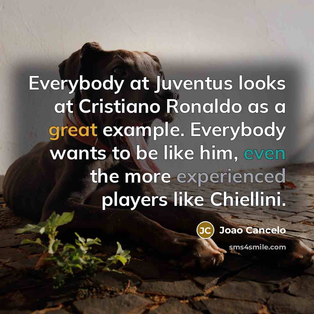 “Everybody at Juventus looks at Cristiano Ronaldo as a great…” quote by Joao Cancelo