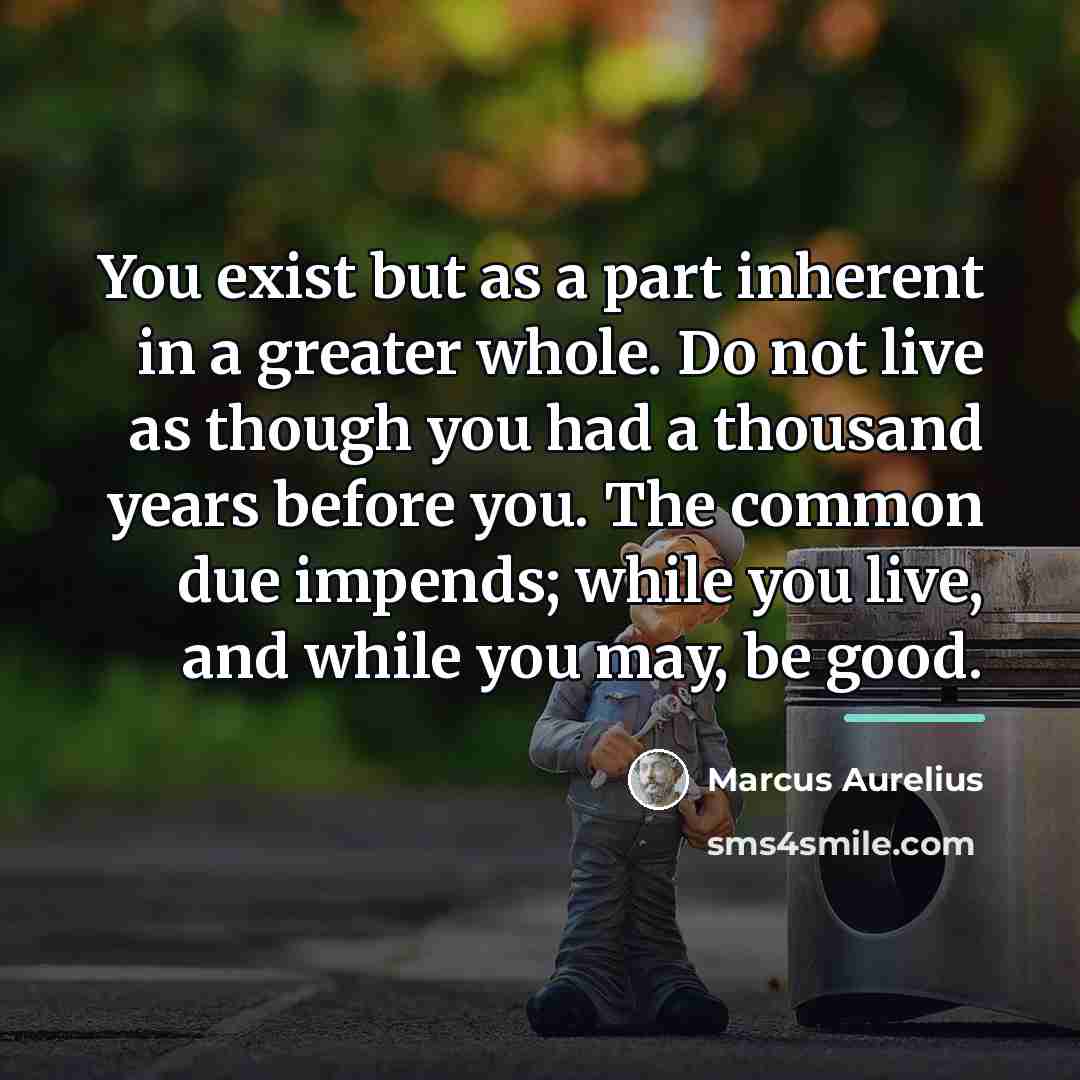 “You exist but as a part inherent in a greater…” quote by Marcus Aurelius