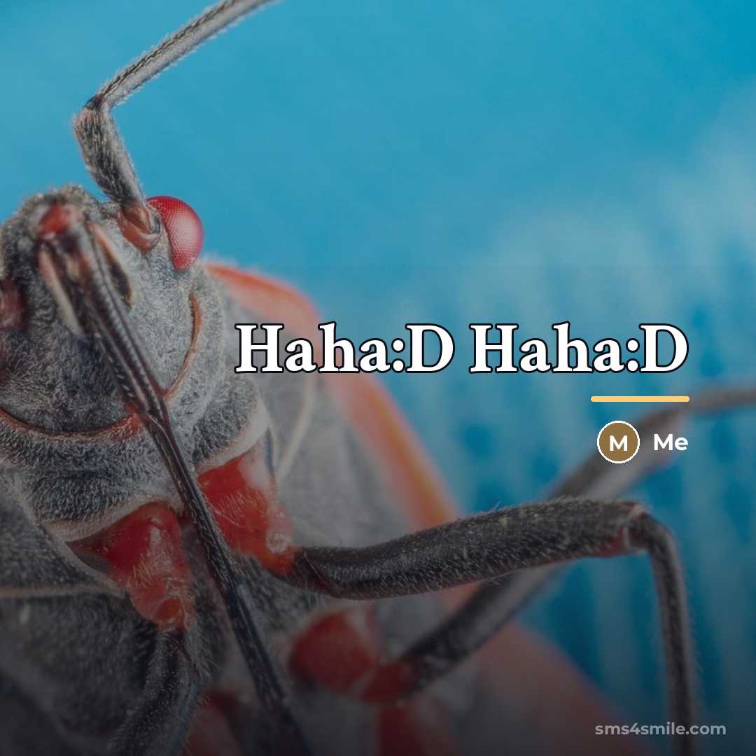 “Haha:D Haha:D…” quote by Me