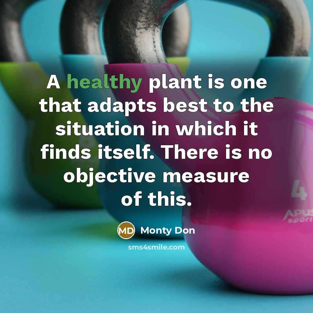 “A healthy plant is one that adapts best to the…” quote by Monty Don