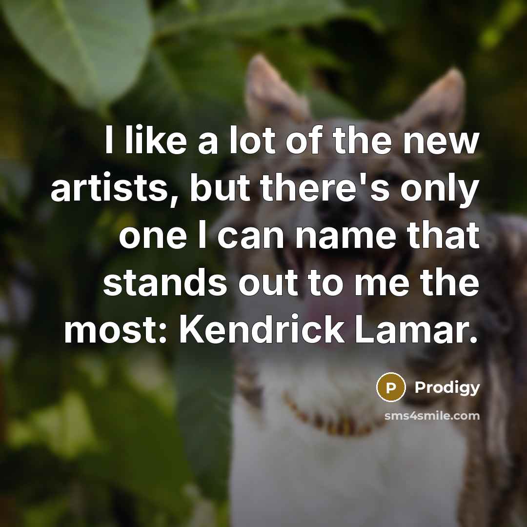 “I like a lot of the new artists, but there's…” quote by Prodigy