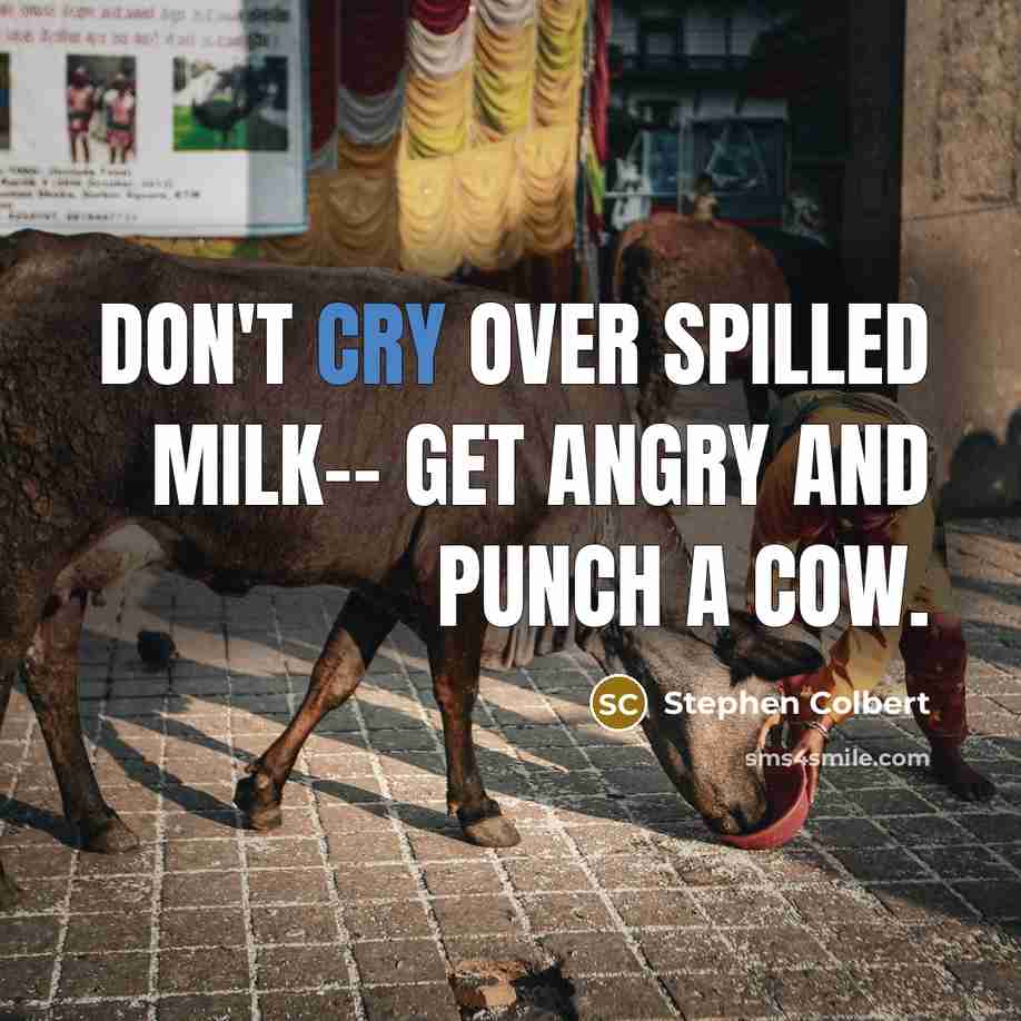 “Don't cry over spilled milk-- get angry and punch a…” quote by Stephen Colbert