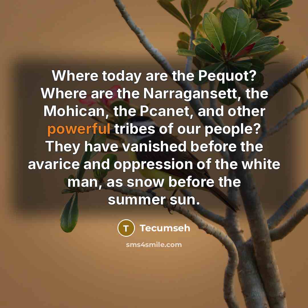 “Where today are the Pequot? Where are the Narragansett, the…” quote by Tecumseh