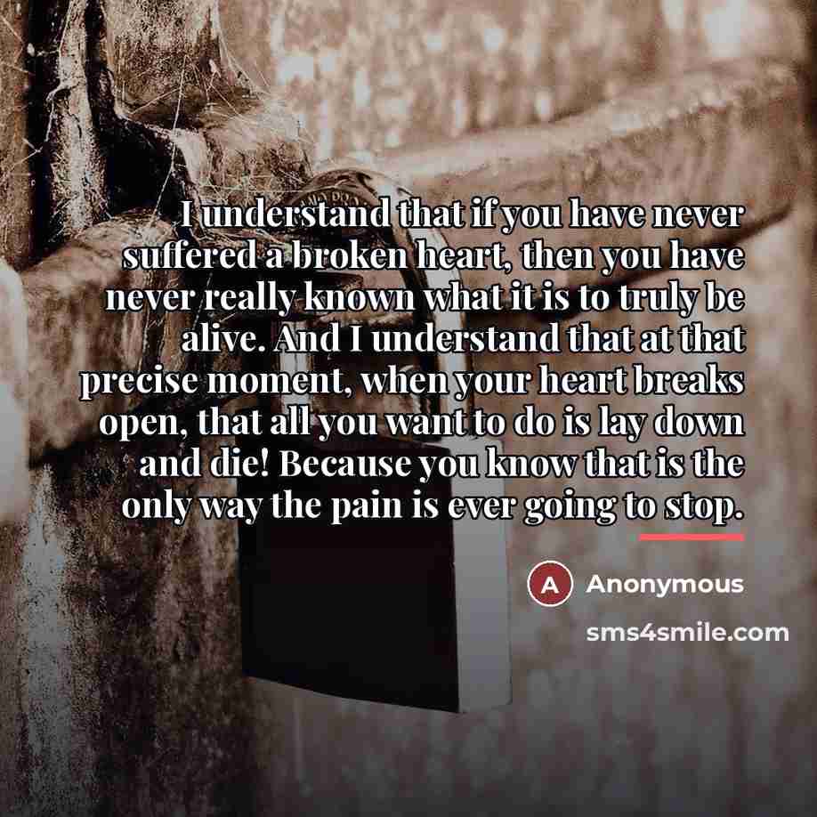 “I understand that if you have never suffered a broken…” quote by Anonymous