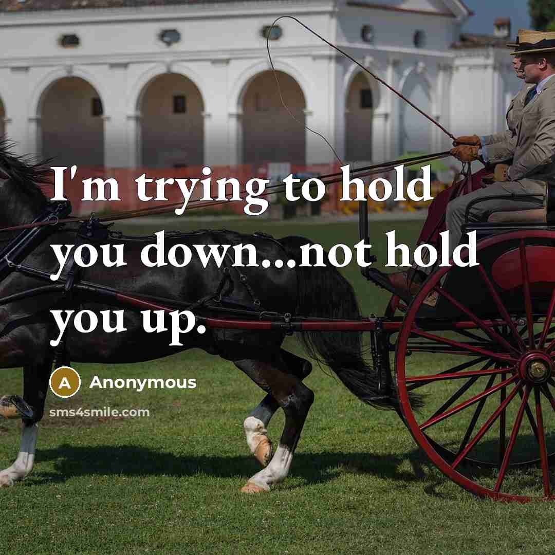 “I'm trying to hold you down...not hold you up.” quote by Anonymous