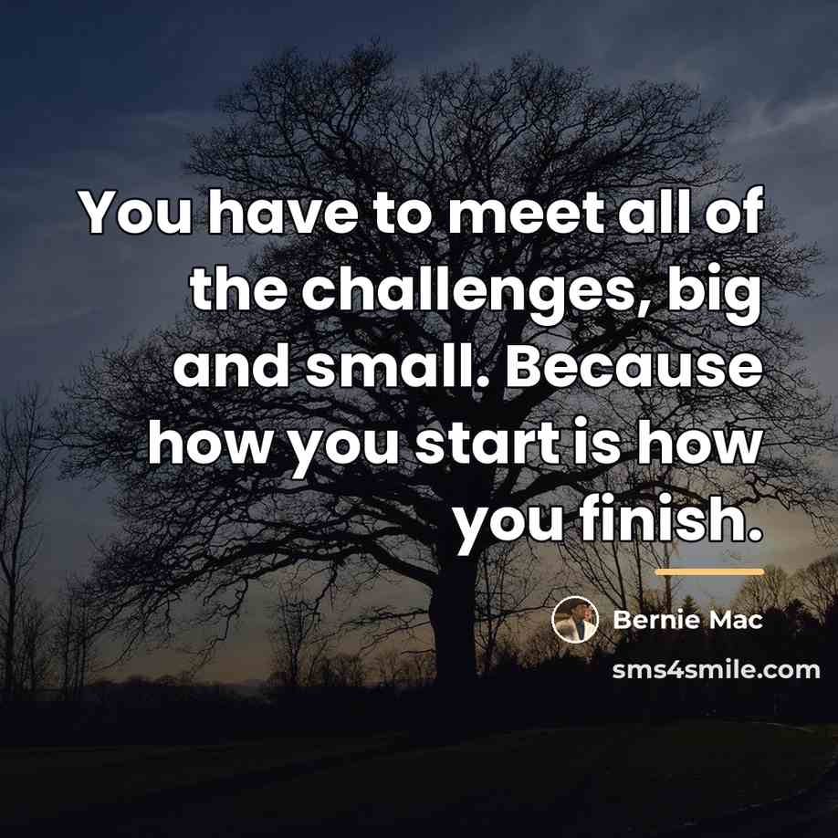 “You have to meet all of the challenges, big and…” quote by Bernie Mac