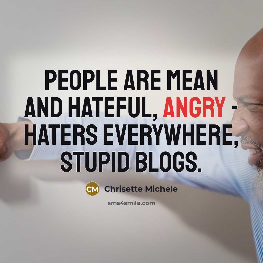 “People are mean and hateful, angry - haters everywhere, stupid…” quote by Chrisette Michele