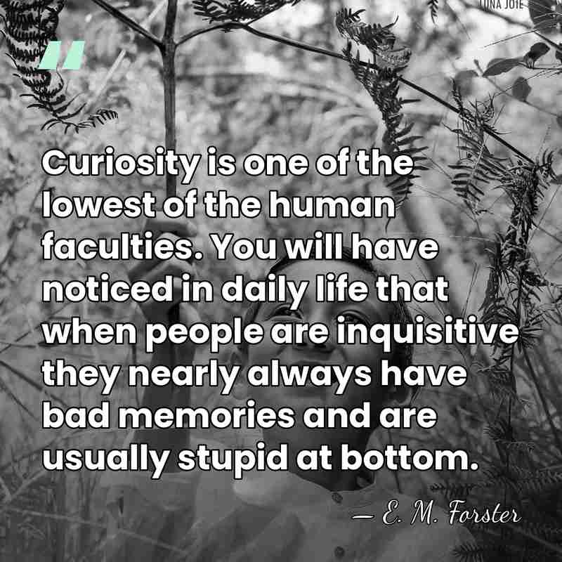 Curiosity is one of the lowest of the human faculties. You will&hellip; - E. M. Forster