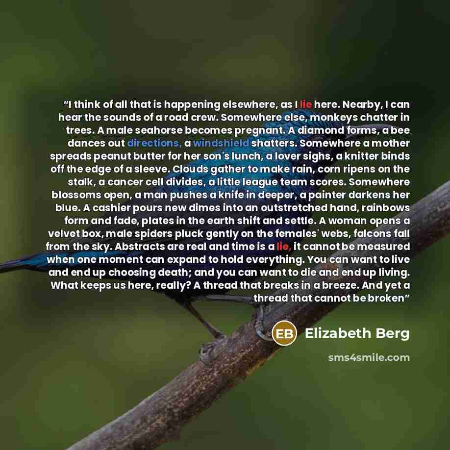 “I think of all that is happening elsewhere, as I lie here. Nearby, I can hear the sounds of a road crew. Somewhere else, monkeys chatter in trees. A male seahorse becomes pregnant. A diamond forms, a bee dances out directions, a windshield shatters. Somewhere a mother spreads peanut butter for her…” quote by Elizabeth Berg