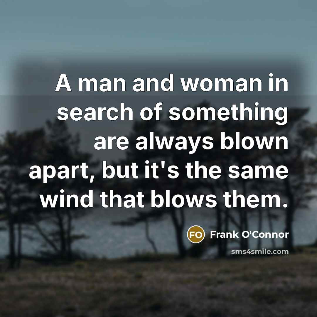 “A man and woman in search of something are always…” quote by Frank O'Connor