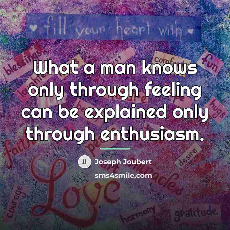 “What a man knows only through feeling can be explained…” quote by Joseph Joubert