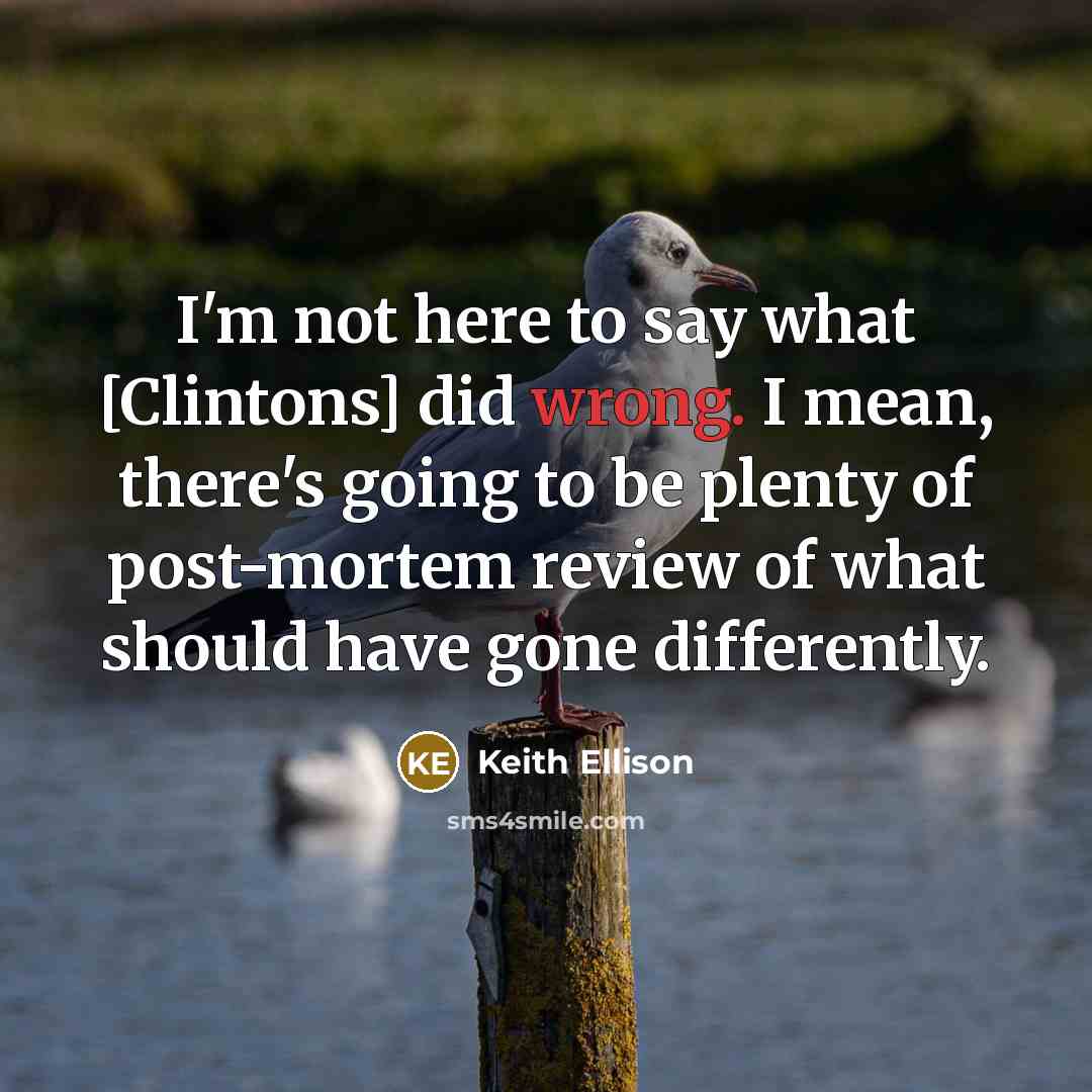 “I'm not here to say what [Clintons] did wrong. I…” quote by Keith Ellison