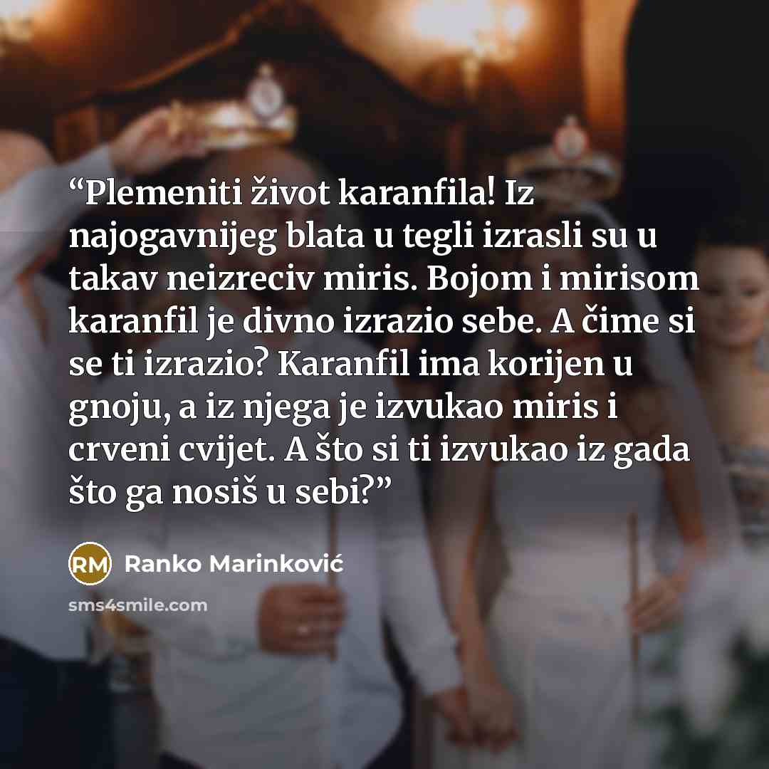 “Plemeniti život karanfila! Iz najogavnijeg blata u tegli izrasli su u takav neizreciv miris. Bojom i mirisom karanfil je divno izrazio sebe. A čime si se ti izrazio? Karanfil ima korijen u gnoju, a iz njega je izvukao miris i crveni cvijet. A što si ti izvukao iz gada što ga nosiš u sebi?” quote by Ranko Marinković