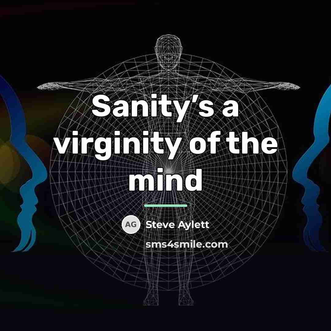 “Sanity’s a virginity of the mind…” quote by Steve Aylett