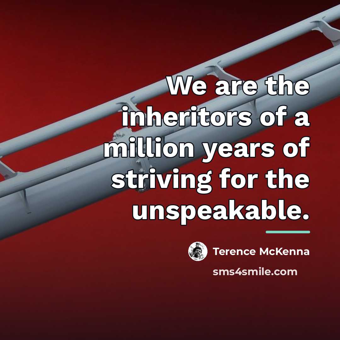 “We are the inheritors of a million years of striving…” quote by Terence McKenna