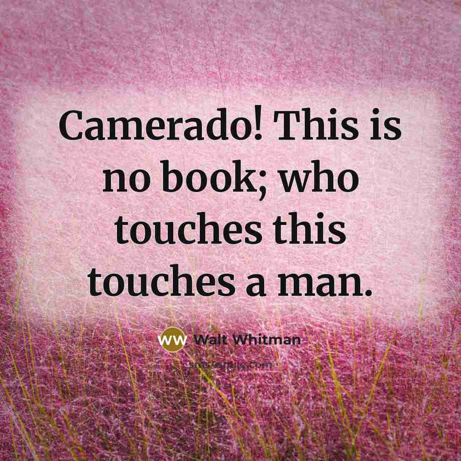“Camerado! This is no book; who touches this touches a…” quote by Walt Whitman